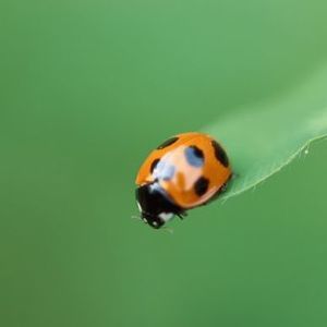 Meet your Posher, Debra